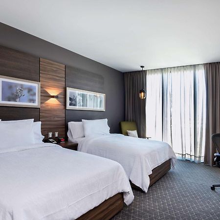 Hilton Garden Inn Aguascalientes Eksteriør billede